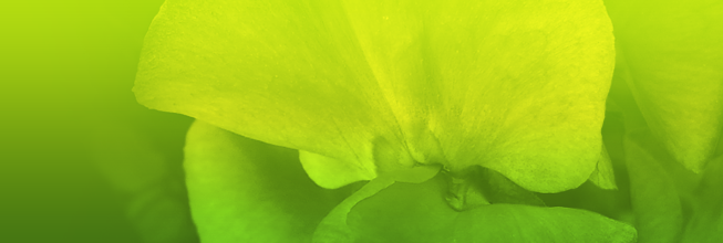 免费轰炸电话软件